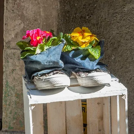 Il Giullare Panzió 3*