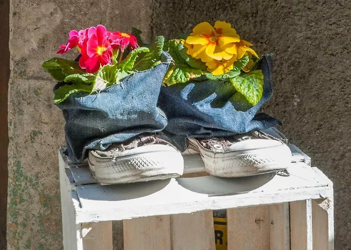 Il Giullare 住宿加早餐酒店 3*